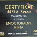 Powiększ obraz: certificate 2