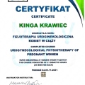 Powiększ obraz: certificate 10