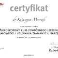 Powiększ obraz: certificate 4