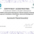 Powiększ obraz: certificate 12