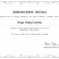 Powiększ obraz: certificate 10