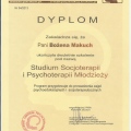 Powiększ obraz: certificate 2