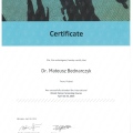 Powiększ obraz: certificate 4