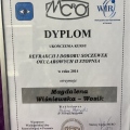 Powiększ obraz: certificate 1