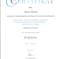 Powiększ obraz: certificate 9