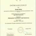Powiększ obraz: certificate 2