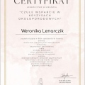 Powiększ obraz: certificate 3