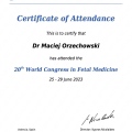 Powiększ obraz: certificate 9