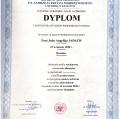 Powiększ obraz: certificate 3