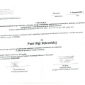 Powiększ obraz: certificate 1