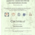 Powiększ obraz: certificate 8