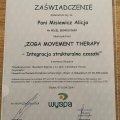 Powiększ obraz: certificate 13