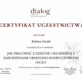 Powiększ obraz: certificate 1