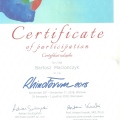 Powiększ obraz: certificate 11