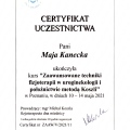 Powiększ obraz: certificate 3