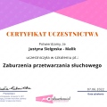 Powiększ obraz: certificate 17