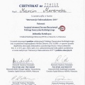 Powiększ obraz: certificate 6