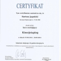 Powiększ obraz: certificate 3