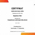 Powiększ obraz: certificate 22