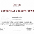Powiększ obraz: certificate 2