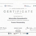 Powiększ obraz: certificate 13