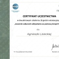 Powiększ obraz: certificate 12