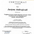 Powiększ obraz: certificate 2