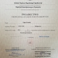 Powiększ obraz: certificate 1