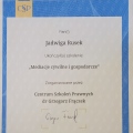 Powiększ obraz: certificate 3