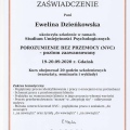 Powiększ obraz: certificate 8