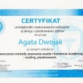 Powiększ obraz: certificate 5
