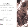 Powiększ obraz: certificate 121