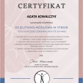 Powiększ obraz: certificate 4