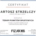 Powiększ obraz: certificate 10