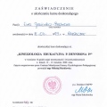 Powiększ obraz: certificate 43