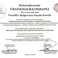 Powiększ obraz: certificate 23