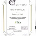 Powiększ obraz: certificate 20