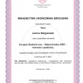 Powiększ obraz: certificate 3