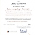 Powiększ obraz: certificate 21