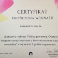 Powiększ obraz: certificate 13