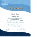 Powiększ obraz: certificate 2