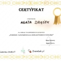 Powiększ obraz: certificate 19