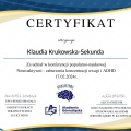 Powiększ obraz: certificate 1
