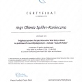 Powiększ obraz: certificate 5