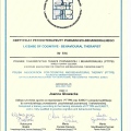 Powiększ obraz: certificate 1