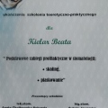 Powiększ obraz: certificate 2