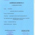 Powiększ obraz: certificate 26