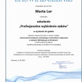 Powiększ obraz: certificate 3