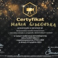 Powiększ obraz: certificate 19