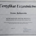 Powiększ obraz: certificate 5